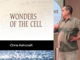Wonders of the Cell