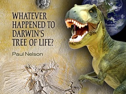 Whatever Happened To Darwin's Tree Of Life?
